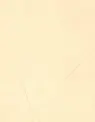 [WOH LOC 0502] Wall Covering MATRIX TEXTURES - ورق جدران